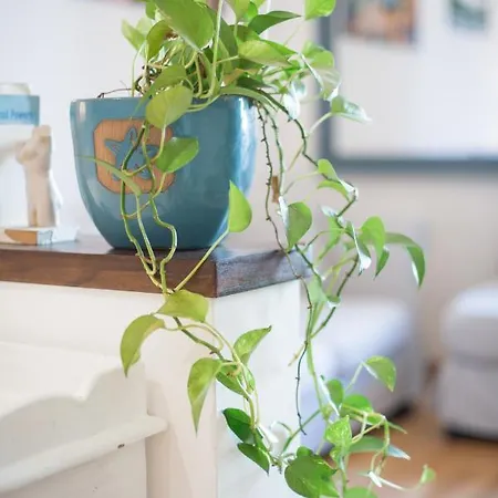 Your In Trastevere E Gianicolo 아파트